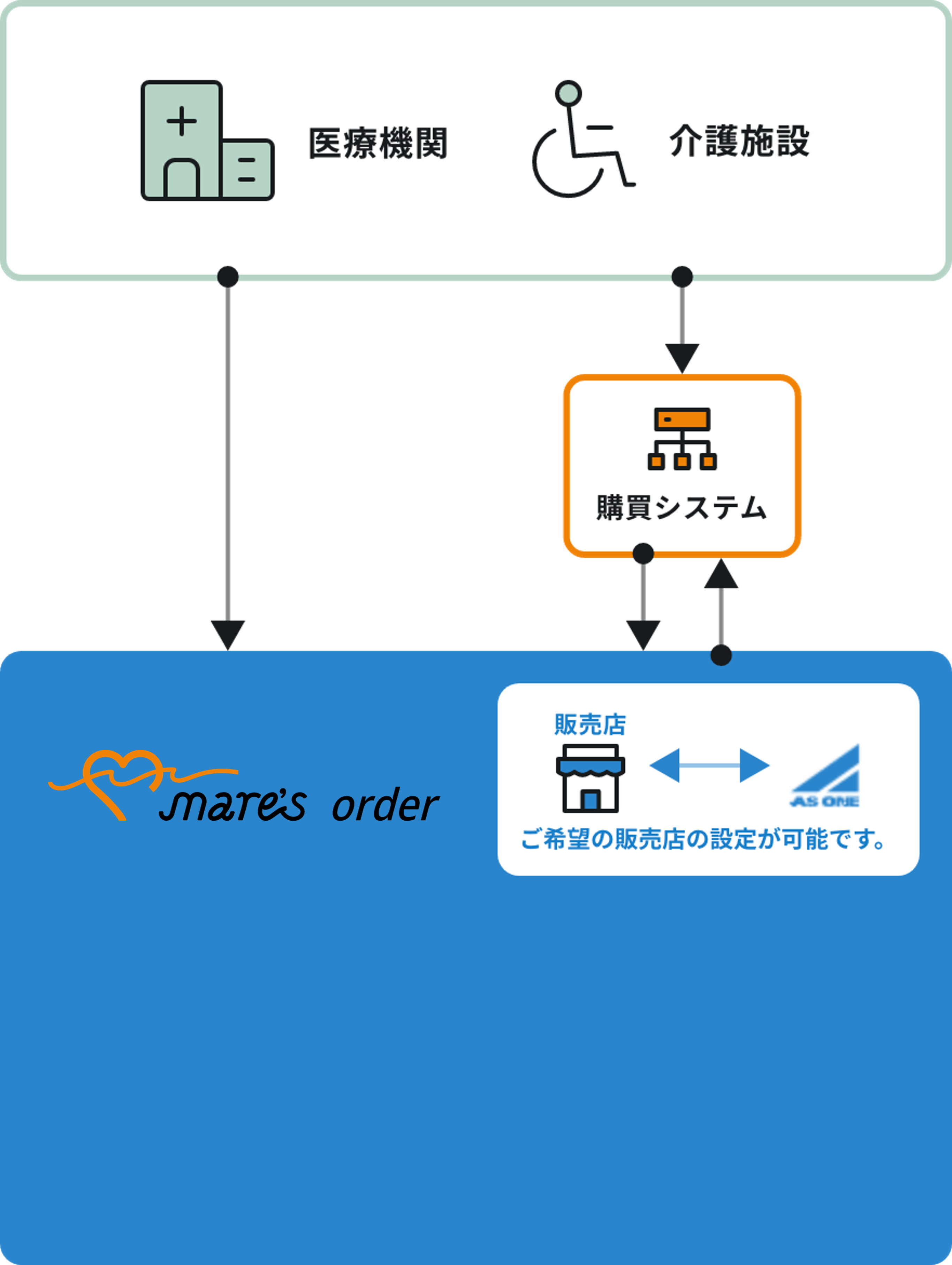Mare's order / ocean導入後のイラスト